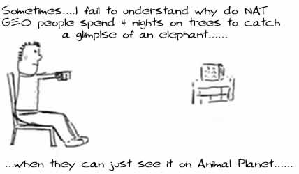 National Geographic, Animal Planet, Nat Geo, discovery, Insane, humor