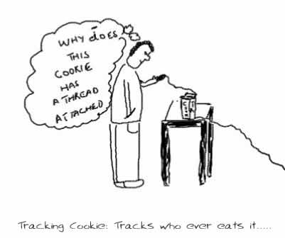 Tracking Cookie,coconut cookie,internet,technology