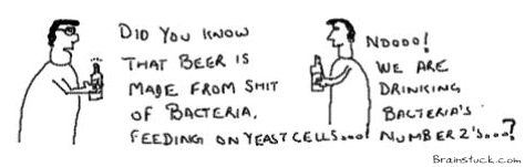 Bacteria’s Shit,How Beer is made,Fermentation Yeast