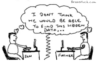 Hidden Data, Adult stuff, Porn,pr0n in PC Laptops,comics