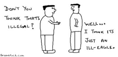 Illegal or Ill eagle,Insane,cartoons,Toons,