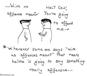 No Offences meant,Offending someone with all due respect