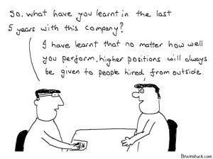 Corporate Ladder/Heirarchy - Business, Office, Management Cartoons, Job, Hard work, appraisals, rewards