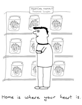 Home is where your heart is, and you heart is in the hospital, Insane Cartoon