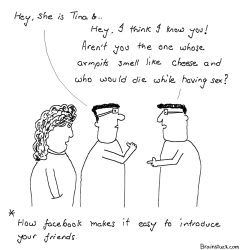 Facebook, Facebook Quizzes, Pesky, Perky, Annoying, Frustrating, Social Networking, Online, Web 2.0, Personal Information